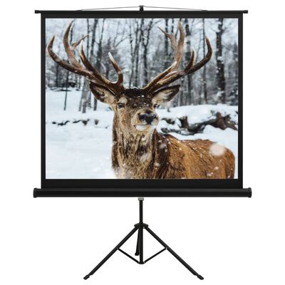 vidaXL Projection Screen with Stand 60" 1:1