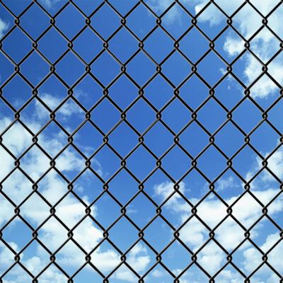 vidaXL Chain Link Fence with Spike Anchors 0,8x15 m Grey