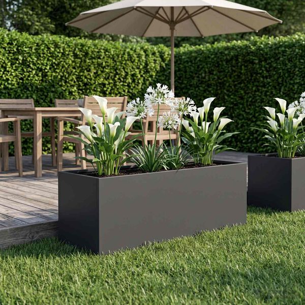 Showing Product Image 2 of 7