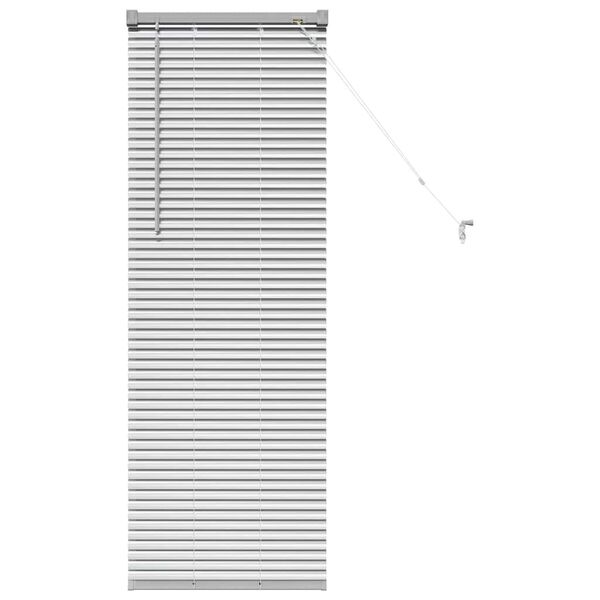 vidaXL Window Blind with Curtains Manual Silver Aluminium