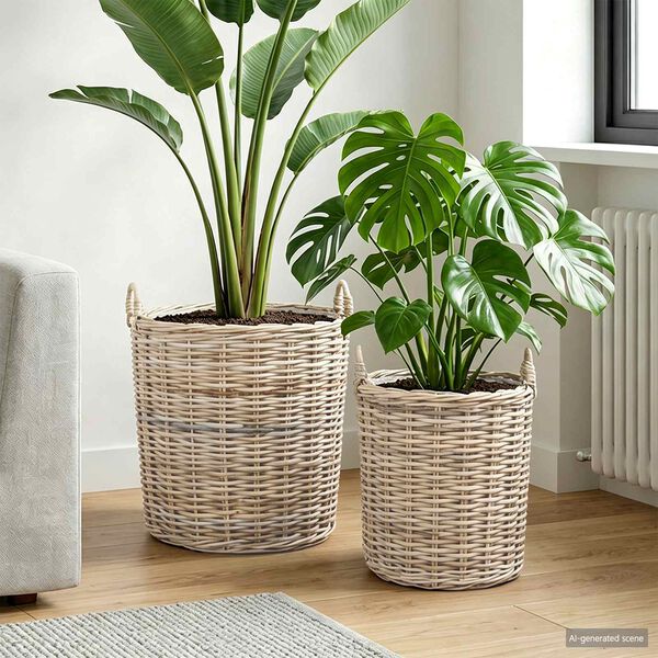 Showing Product Image 2 of 9