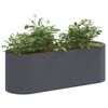 Product Thumbnail Image 3 of 8
