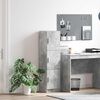 vidaXL Highboard Concrete Grey 31.5 x 32 x 122.5 cm