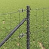 Product Thumbnail Image 4 of 16