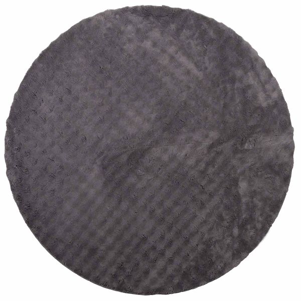 vidaXL Area Rugs Round Anthracite &Oslash; 200 CM Polyester