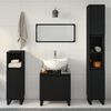 vidaXL Bathroom Furniture Set with Door 3 pcs Black 30 x 30 x 190 cm
