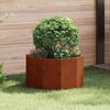 Product Thumbnail Image 2 of 12