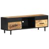 vidaXL TV Cabinet 120x30x40 cm Rough Mango Wood