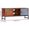 vidaXL TV Cabinet 120x30x49 cm Solid Acacia Wood
