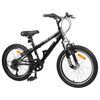 vidaXL Kids Mountain Bike 20'' 6-Speed for 5-8 Years Old Black