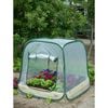 Nature Pop up Greenhouse 100 x 100 x 100 cm 6020408