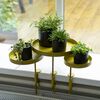 Esschert Design Plant Tray with Clamp Round Gold L