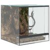 vidaXL Terrarium with Storage Transparent 30 x 30 x 30 cm Glass