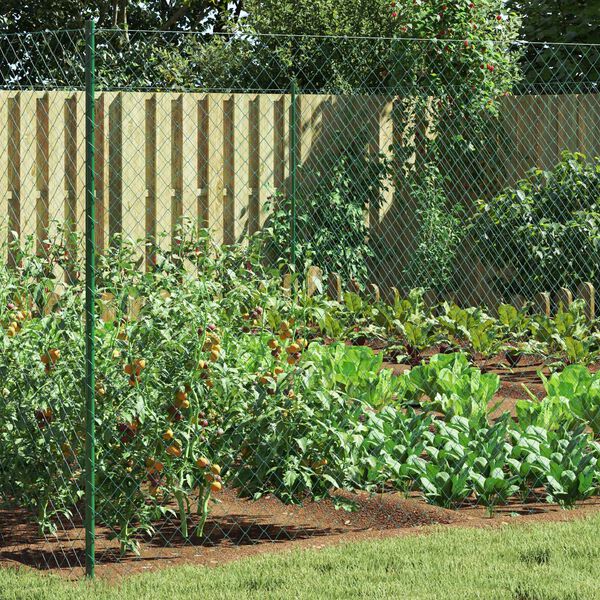 vidaXL Chain Link Fence Green 2 x 10 m Steel