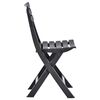 vidaXL Folding Garden Chairs 2 pcs Plastic Anthracite
