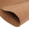 vidaXL Cork Roll 100x500 cm 5 mm
