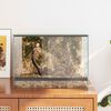 vidaXL Terrarium with Storage Transparent 40 x 30 x 30 cm Glass