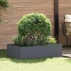 Product Thumbnail Image 2 of 8