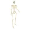 Product Thumbnail Image 4 of 8