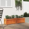Product Thumbnail Image 3 of 12