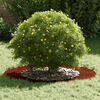 Product Thumbnail Image 3 of 11