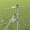 Product Thumbnail Image 3 of 8