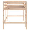 vidaXL Kids' Loft Bed without Mattress with Ladder 80x200 cm