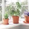 Product Thumbnail Image 4 of 12
