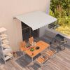 vidaXL Manual Retractable Awning 350x250 cm Cream