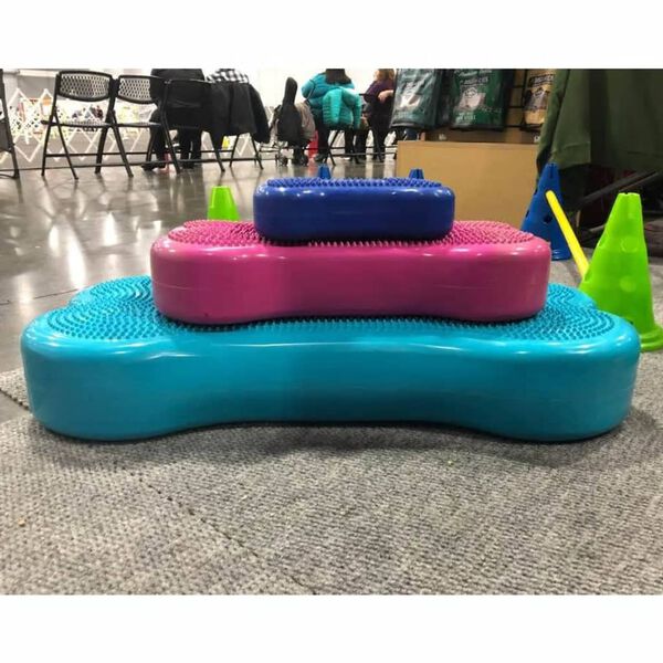 FitPAWS Pet Balance Platform Giant K9FITbone PVC Aqua