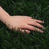 Product Thumbnail Image 5 of 6