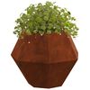 Product Thumbnail Image 3 of 12