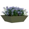 Product Thumbnail Image 3 of 13