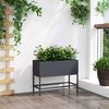 Product Thumbnail Image 4 of 12