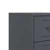vidaXL Bedside Cabinet Anthracite 36x39x43.5 cm Steel