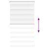 vidaXL Zebra Blind White 80x100 cm Fabric Width 75.9 cm Polyester