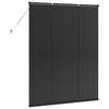 vidaXL Window Blind with Curtains Manual Black Aluminium