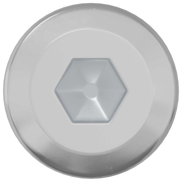 vidaXL Lock Screw Plain 2 pcs Silver M6 x 12 mm Steel