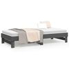 vidaXL Pull-out Day Bed without Mattress Grey 2x(80x200) cm