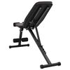 vidaXL Weight Bench Manual Black 131 x 41 x 110 cm Steel