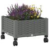 Product Thumbnail Image 3 of 8