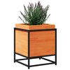 Product Thumbnail Image 4 of 10
