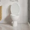 Product Thumbnail Image 3 of 13