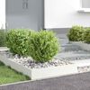 Product Thumbnail Image 4 of 12