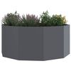 Product Thumbnail Image 3 of 10