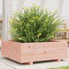 vidaXL Garden Planter 70x70x26.5 cm Solid Wood Douglas