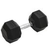 vidaXL Dumbbell 20 kg Cast Iron