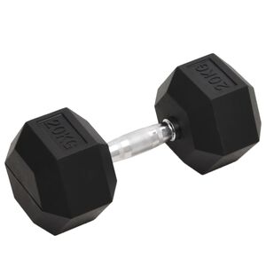 vidaXL Dumbbell 20 kg Cast Iron