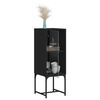 vidaXL Side Cabinet with Glass Doors Black 35x37x100 cm