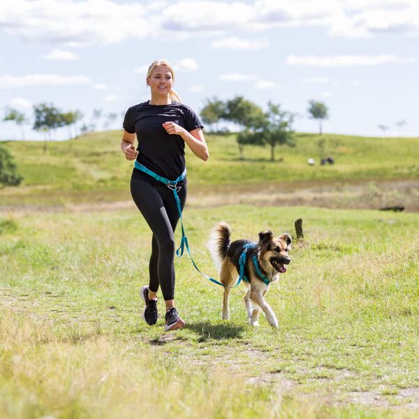 TRIXIE Waist Belt with Leash S/M Blue